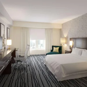 Tapestry Collection By Hilton Hotel Modern Design  King Furniture